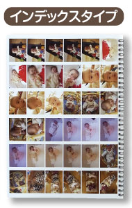 インデックスタイプ 36点×12ページ=写真合計432点 よりたくさんの写真を詰めこみたい方にぴったり。