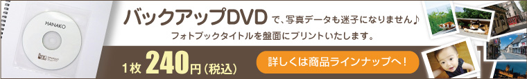 バックアップDVD（オプション）も同時に作れば、パソコンの中もすっきり整理できます！